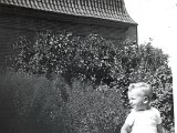 Familiealbum Sdb008 1  1943 Juli - august 1943 Sdr.Landevej 7
